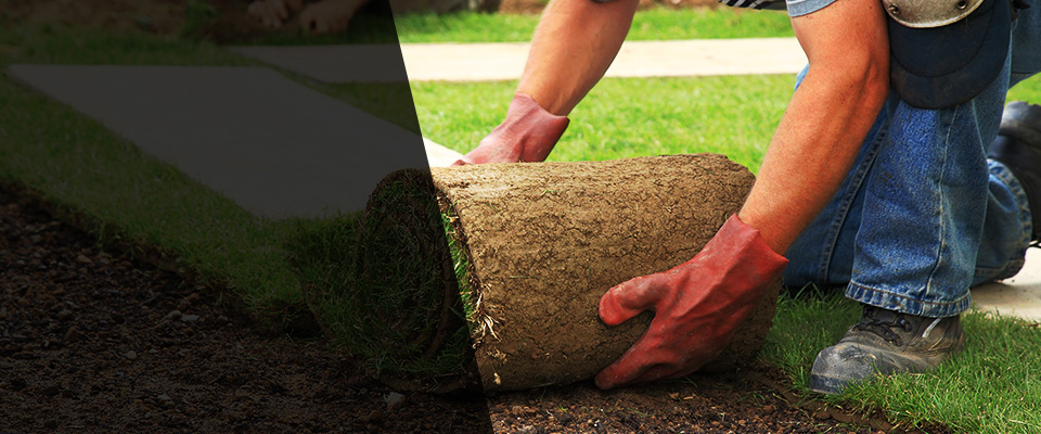 Diboll Landscapers